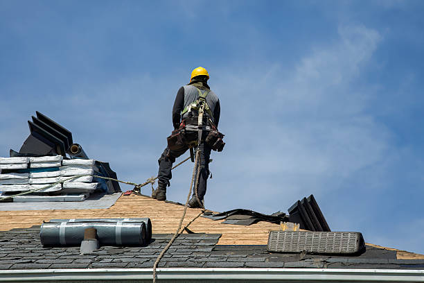 Professional Gutter Installation technician working in Portal, GA